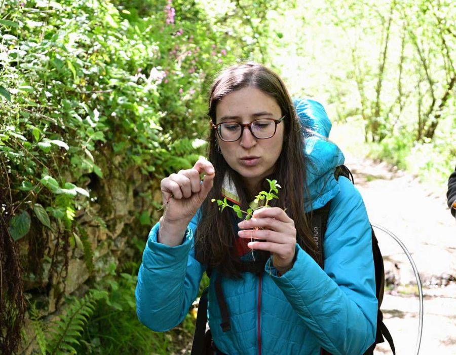 Con la testa tra i fiori, un viaggio alla scoperta del mondo delle erbe selvatiche