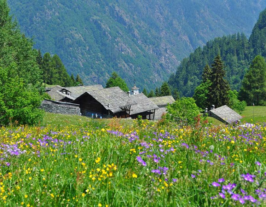 Fai emozionare gli sposi con un dono speciale: la Valsesia!
