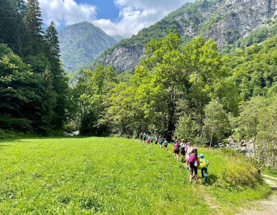 Ehi, ragazzi! Preparatevi per un'estate da urlo con il Camp Estivo all'Alpe Campo di Rimasco!