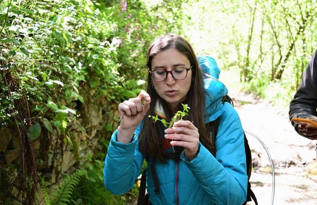 Con la testa tra i fiori, un viaggio alla scoperta del mondo delle erbe selvatiche