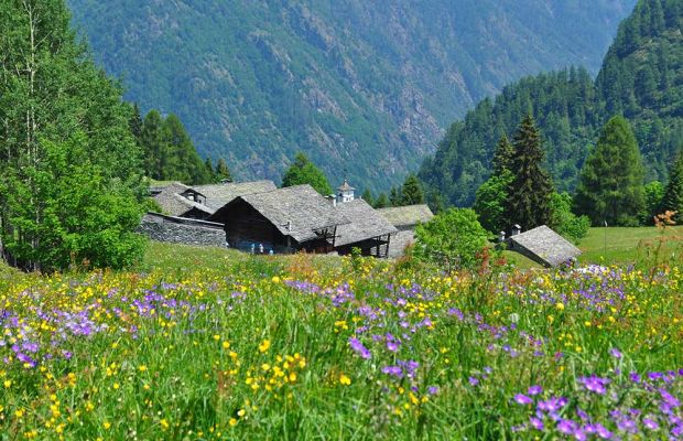 Fai emozionare gli sposi con un dono speciale: la Valsesia!