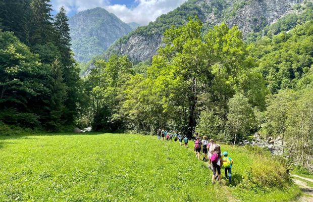 Ehi, ragazzi! Preparatevi per un'estate da urlo con il Camp Estivo all'Alpe Campo di Rimasco!