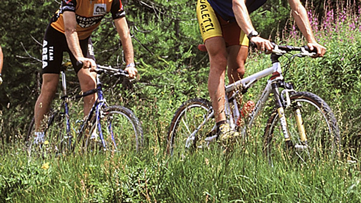 Piste ciclabili