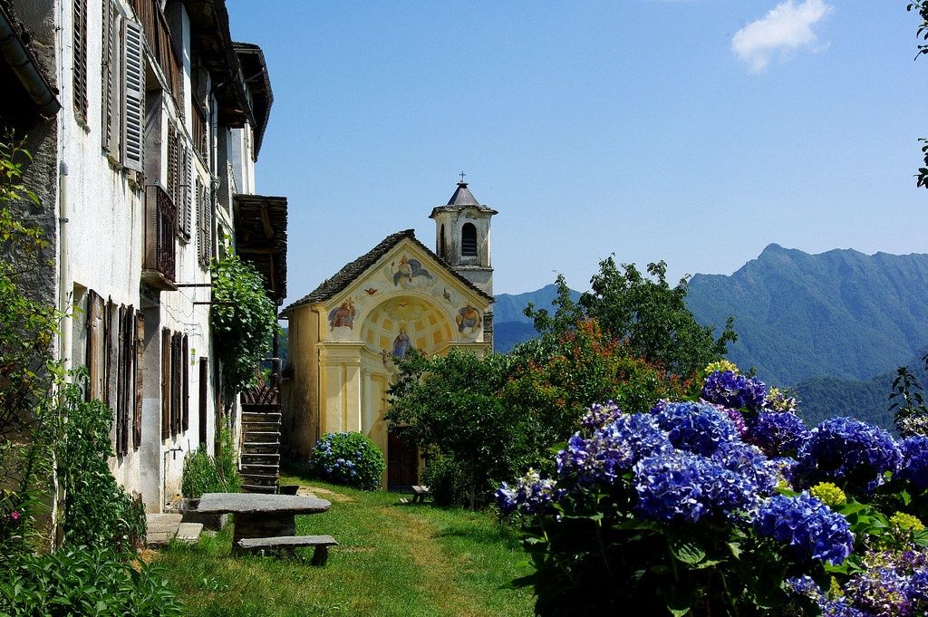 I sentieri dell'arte